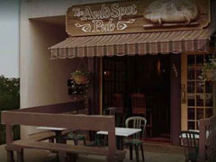 Auld Spot Pub