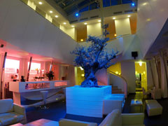 Skola (School) Lounge Bar